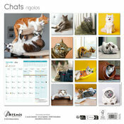 Calendrier papier 2026 Chats Rigolos