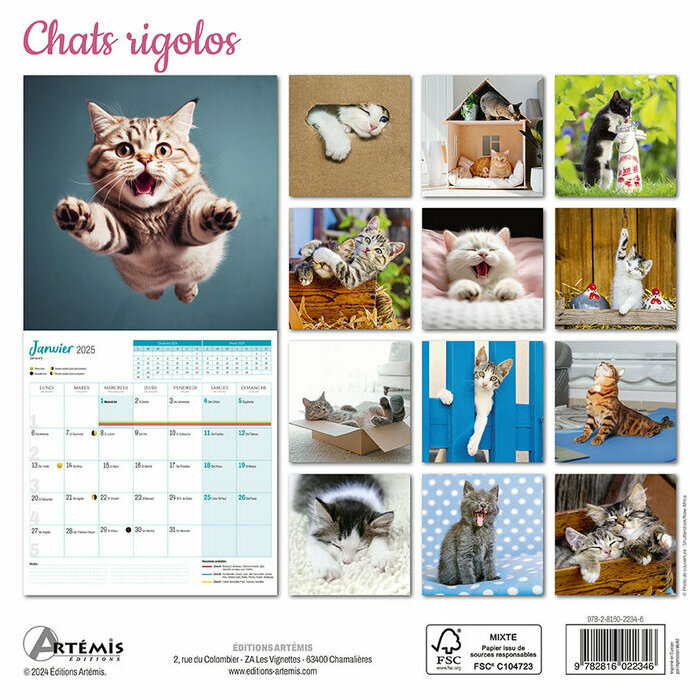 Calendrier Français 2025 Chats Rigolos