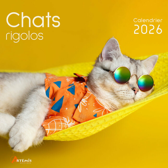 Calendrier Mural 2026 Chats Rigolos
