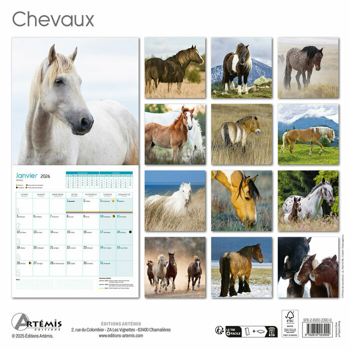 Calendrier papier 2026 Chevaux