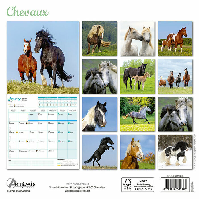 Calendrier Français 2025 Chevaux
