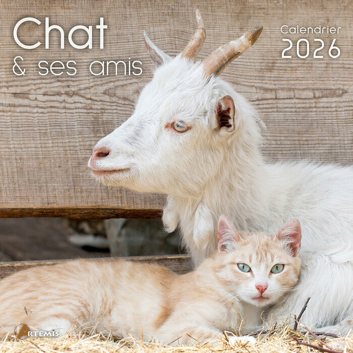 Calendrier Mural 2026 Le Chat et ses Amis