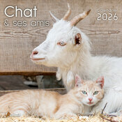 Calendrier Mural 2026 Le Chat et ses Amis