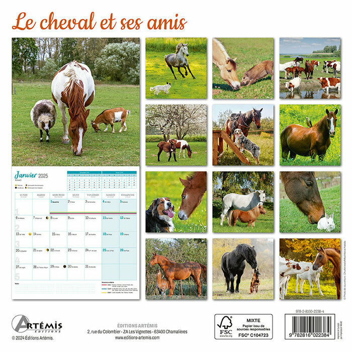 Calendrier Franais 2025 Le Cheval et ses Amis