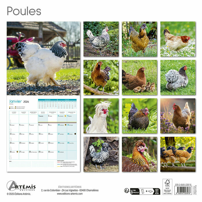 Calendrier français Mural 2026 Poules