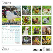 Calendrier français Mural 2026 Poules