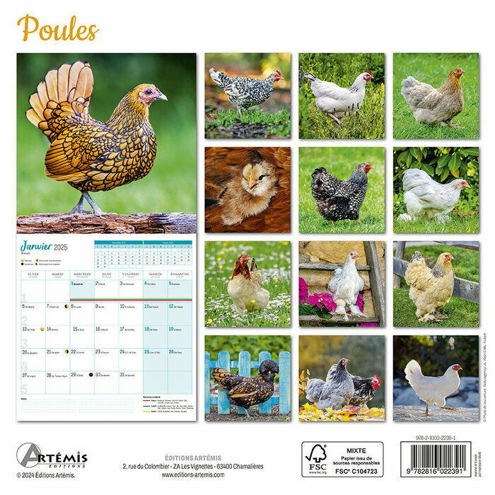 Calendrier Français 2025 Poules
