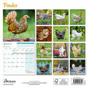 Calendrier Français 2025 Poules