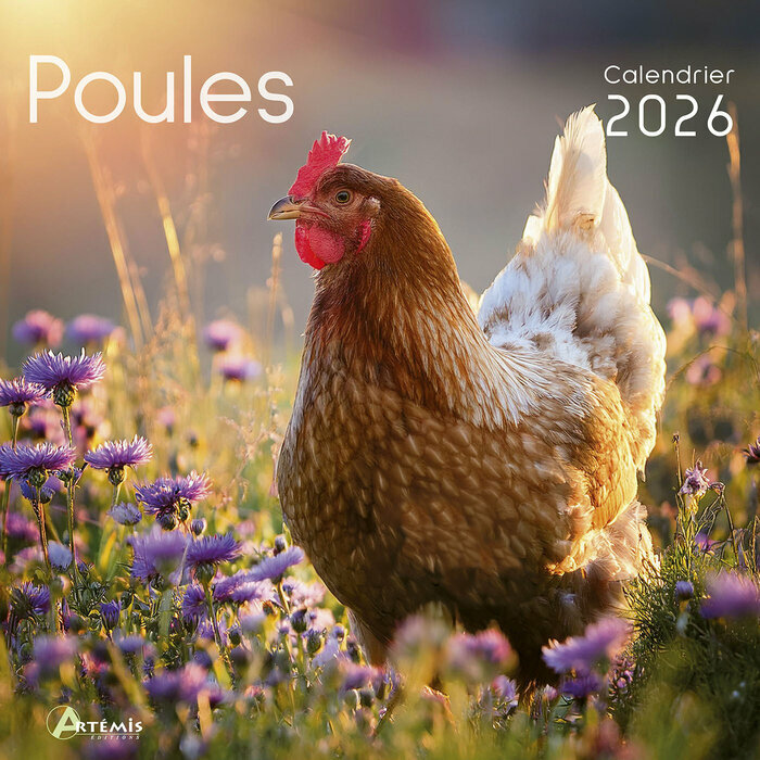Calendrier Mural 2026 Poules