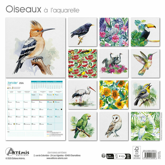 Calendrier Mural 2025 Dessins Oiseaux Aquarelle