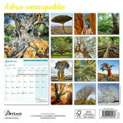 Calendrier Mural 2025  Arbres Remarquables