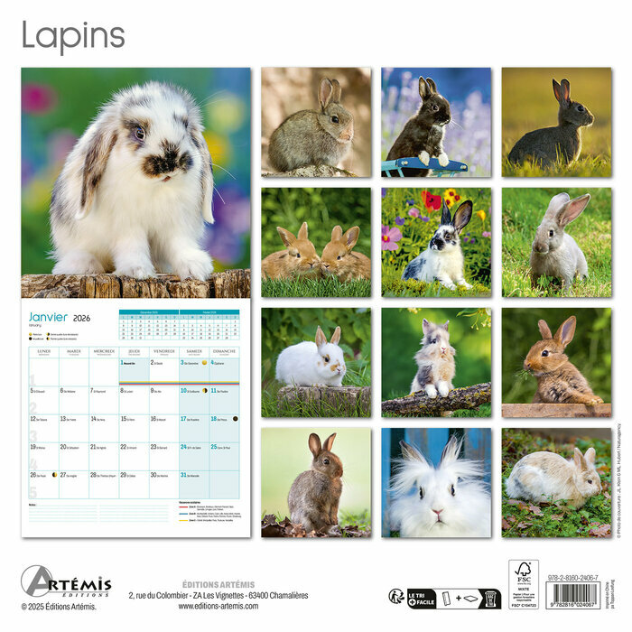 Calendrier mural 2026 Lapins