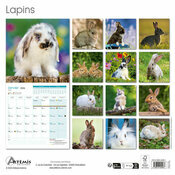 Calendrier mural 2026 Lapins