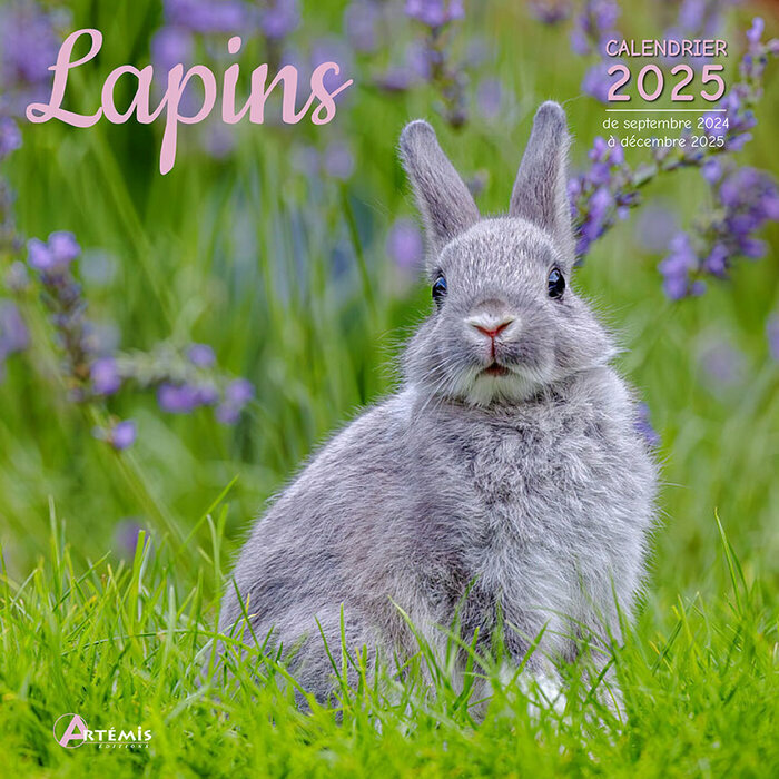 Calendrier Français 2025 Lapins 