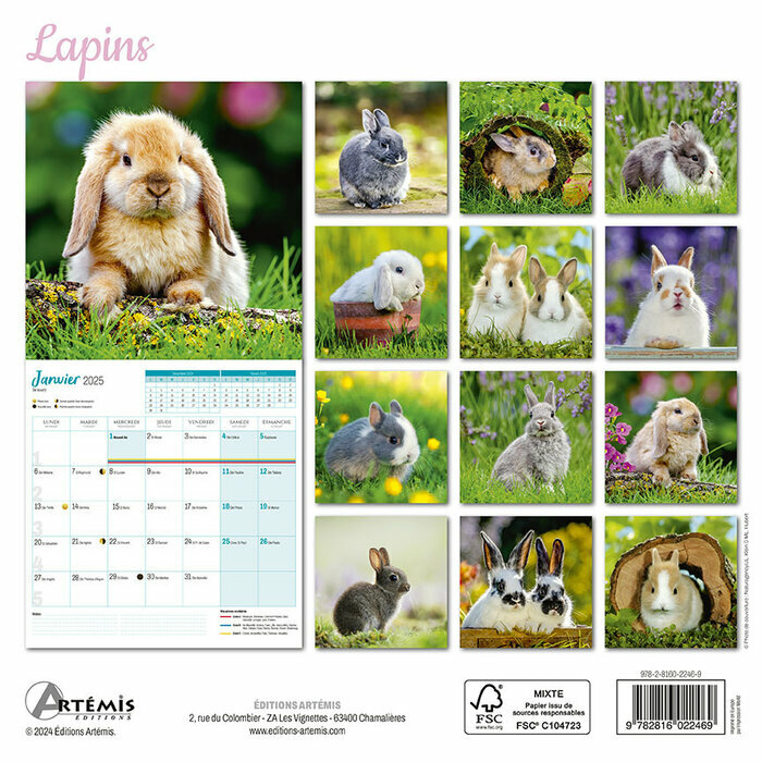 Calendrier Mural 2025 Lapins 