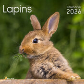 Calendrier Français 2026 Lapins 