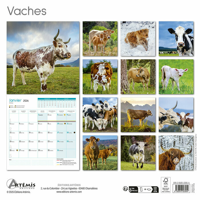 Calendrier papier Franais 2026 Vaches