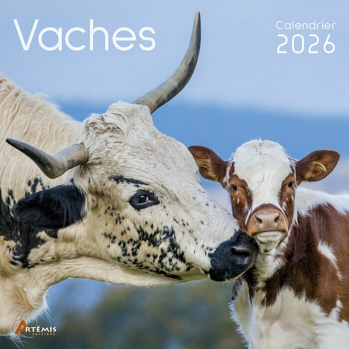 Calendrier Franais 2026 Vaches