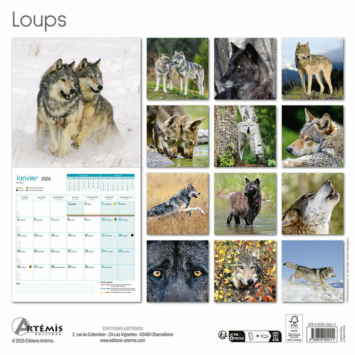 Calendrier 2026 Loups Sauvages