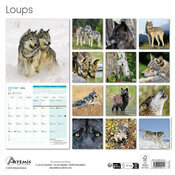 Calendrier 2026 Loups Sauvages