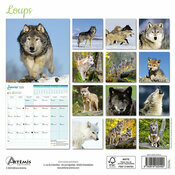 Calendrier français 2025 Loups Sauvages