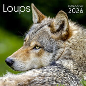 Calendrier Mural 2026 Loups Sauvages