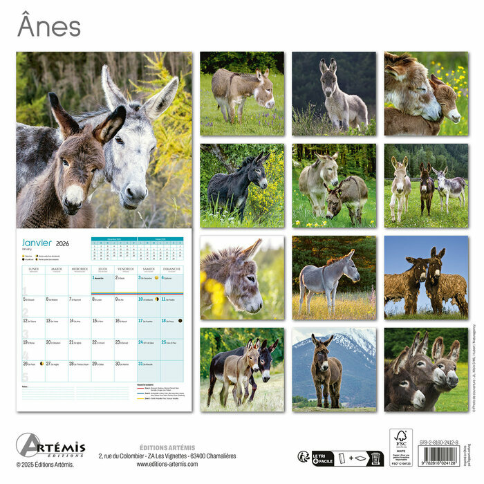 Calendrier Mural 2025 nes