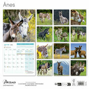 Calendrier Mural 2025 nes