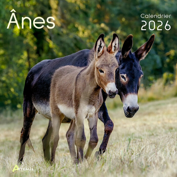 Calendrier Franais 2025 nes