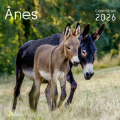 Calendrier Franais 2025 nes