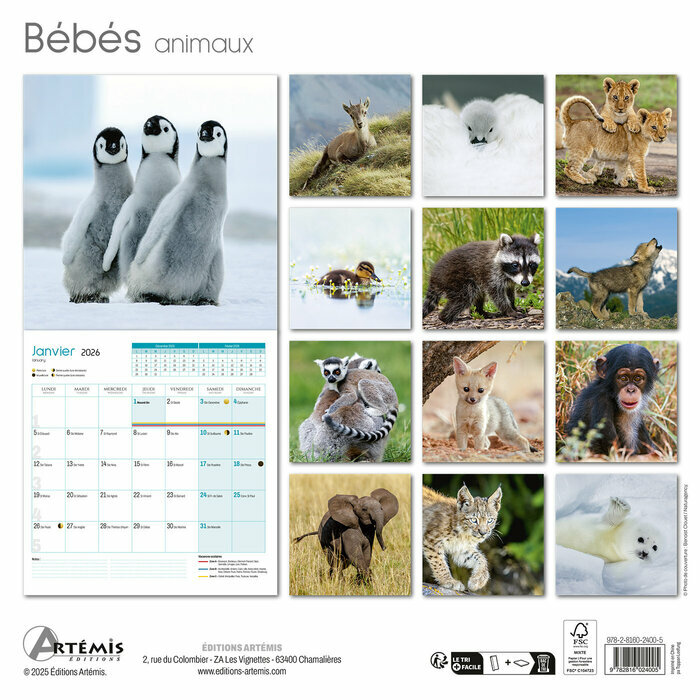 Calendrier papier 2026 Bébés Animaux