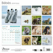Calendrier papier 2026 Bébés Animaux
