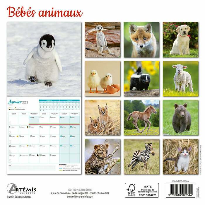 Calendrier Français 2025 Bébés Animaux