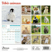 Calendrier Français 2025 Bébés Animaux
