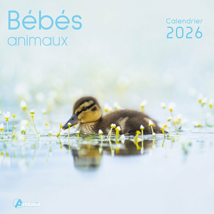 Calendrier Mural 2026 Bébés Animaux
