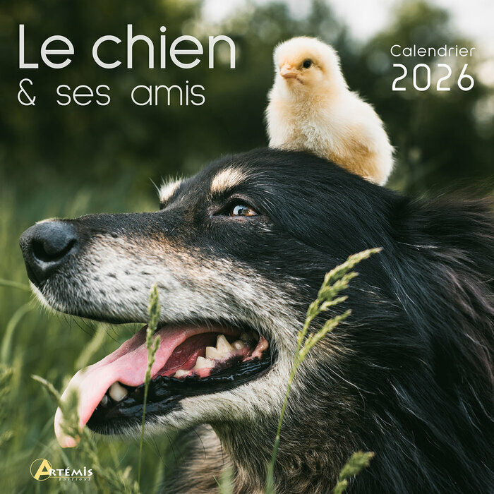 Calendrier Mural 2026 Le Chien et ses Amis