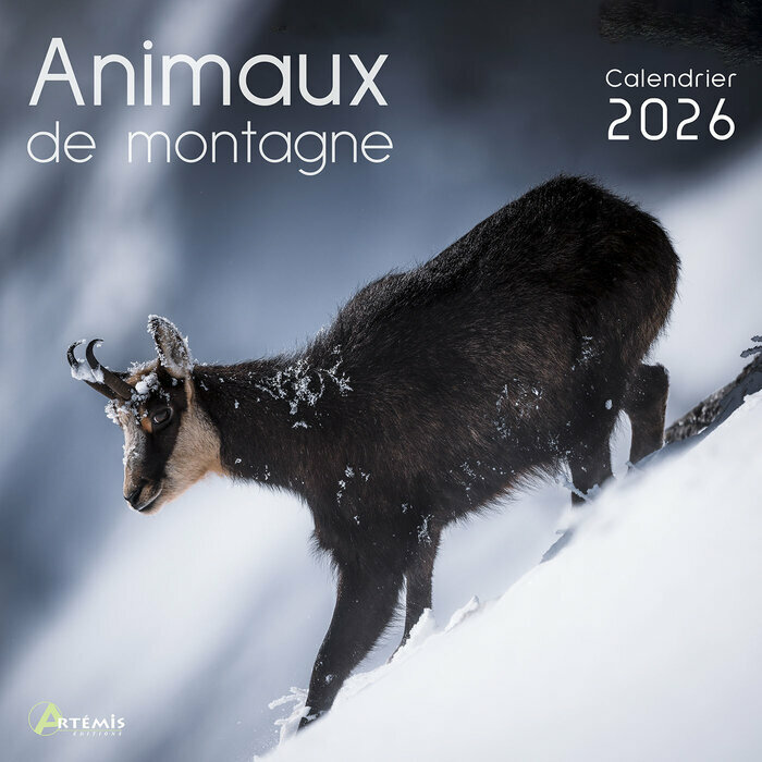 Calendrier Mural 2025 Animaux de Montagne