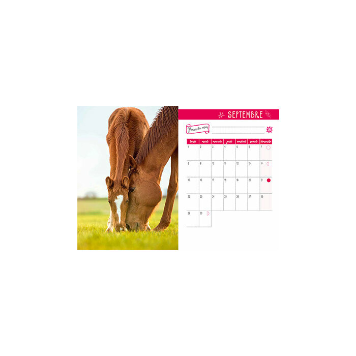Agenda papier 2025 Chevaux Nature