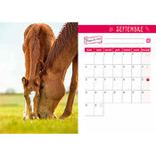 Agenda papier 2025 Chevaux Nature