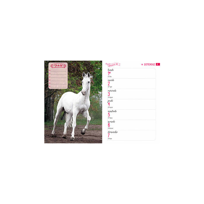 Agenda 2025 Chevaux Nature