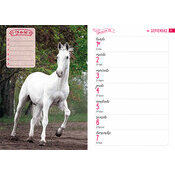 Agenda 2025 Chevaux Nature