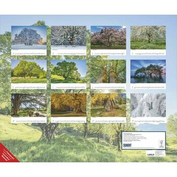 Maxi Calendrier 60x50cm 2026 Arbre Nature