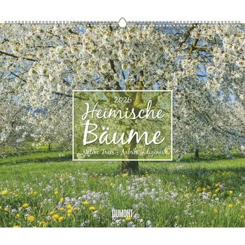 Maxi Calendrier 60x50cm 2026 Arbre Nature