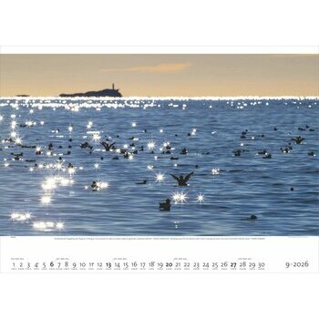 Maxi Calendrier 60x50cm 2025 La Mer Océan