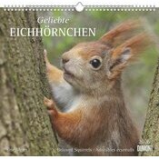 Maxi Calendrier Papier 38x35.5cm 2025 Adorables Ecureuils