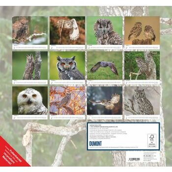 Maxi Calendrier 38x35.5cm 2026 Adorables Chouettes Maxi Calendrier 38x35.5cm 2026 Adorables Chouettes
