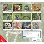 Maxi Calendrier Rapace 38x35.5cm 2025 Adorables Chouettes