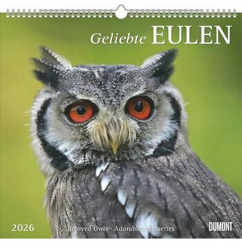 Maxi Calendrier 38x35.5cm 2026 Adorables Chouettes Maxi Calendrier 38x35.5cm 2026 Adorables Chouettes