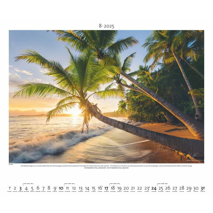 Maxi Calendrier 60x50cm 2025 Nature en Lumière