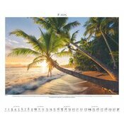 Maxi Calendrier 60x50cm 2025 Nature en Lumière